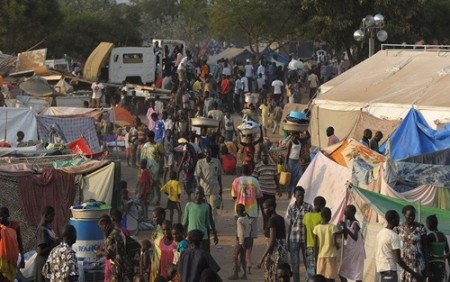 Afrikanische Union will sich aus der Abhängigkeit von Geberländern befreien - ảnh 1