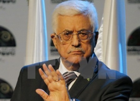 Palästinenserpräsident unterzeichnet Beitritt zu internationalen Konventionen und Organisationen - ảnh 1