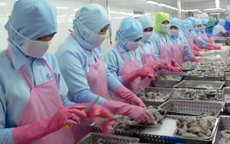 Antidumpingzölle gegen Garnelen aus Vietnam werden gesenkt - ảnh 1