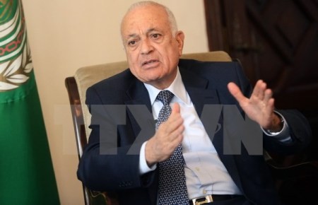 Arabische Liga ist optimistisch, dass UNO einen Palästinenserstaat anerkennt - ảnh 1