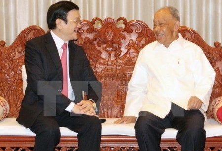 Staatspräsident Truong Tan Sang: Vertiefung der Freundschaft zwischen Vietnam und Laos - ảnh 1