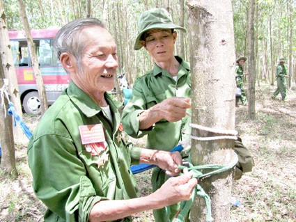 Provinz Quang Tri entwickelt Touren zum ehemaligen Schlachtfeld - ảnh 1
