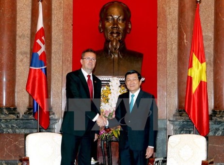Staatspräsident Truong Tan Sang trifft den slowakischen Verteidigungsminister - ảnh 1