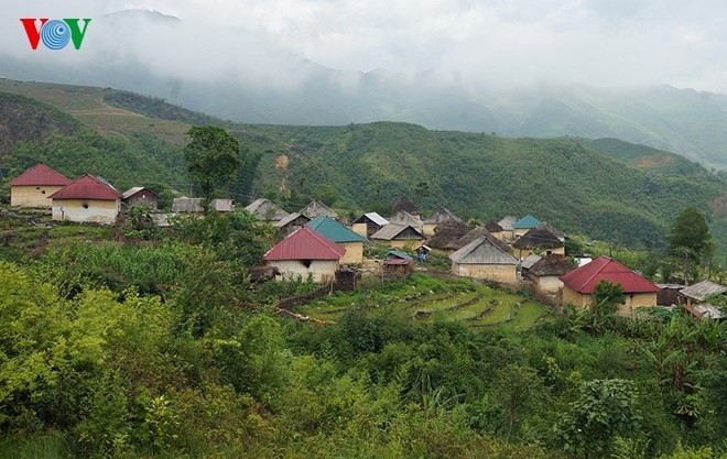 Einzigartige Häuser mit Dächern aus Gras auf dem Berg Kin Chu Phin - ảnh 1