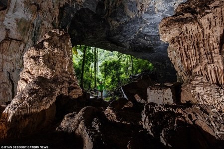 Die britische DailyMail ist von der Schönheit der Höhle Tien in Vietnam beeindruckt  - ảnh 5