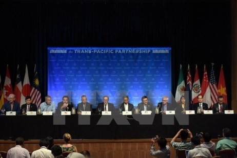 Beginn der neuen TPP-Verhandlungsrunde in den USA - ảnh 1