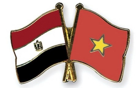 Botschafter Do Hoang Long legt dem ägyptischen Präsident Beglaubigungsschreiben vor - ảnh 1