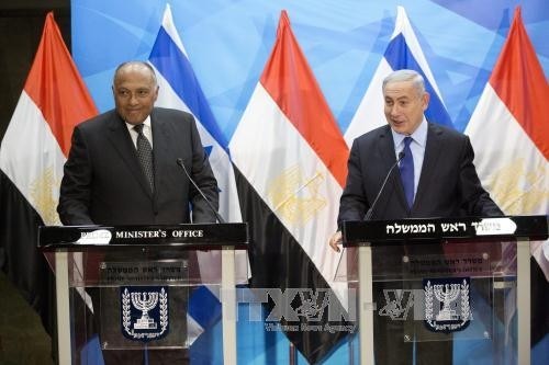 Ägypten bemüht sich um die Friedensverhandlungen im Nahen Osten - ảnh 1