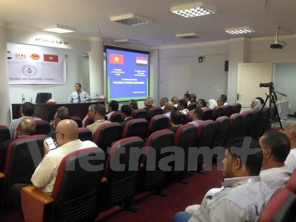 Ägyptische Unternehmen wollen mit den vietnamesischen Partnern zusammenarbeiten - ảnh 1
