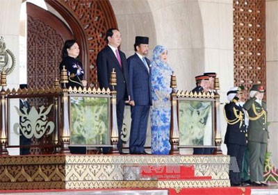 Besuche des Staatspräsidenten Tran Dai Quang in Brunei und Singapur erreichen große Erfolge - ảnh 1