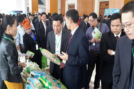 Provinz Bac Kan führt derzeit verstärkt Tätigkeiten zur Handelsförderung durch - ảnh 1