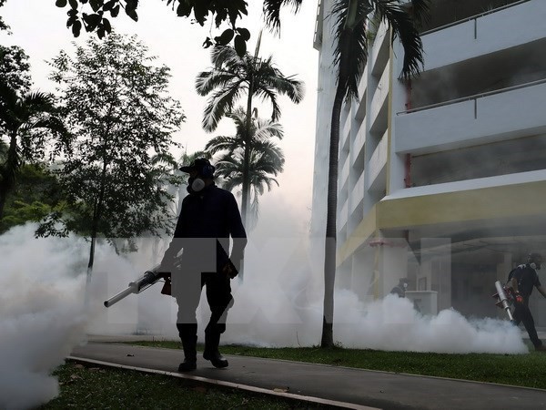 Warnung vor Verbreitung von Zika-Virus in Asien-Pazifik - ảnh 1
