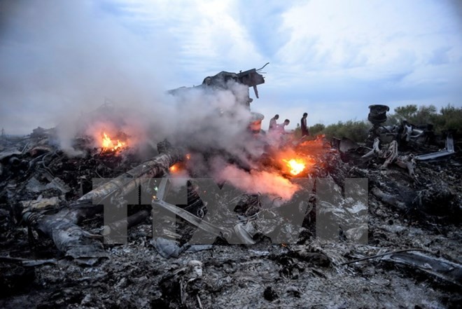 Absturz von Flug MH17: Prozess soll in den Niederlanden stattfinden - ảnh 1