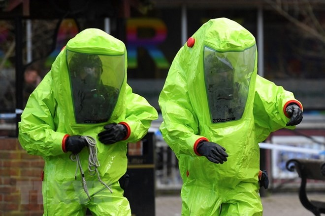 Spannungen um den Fall des Ex-Agenten Skripal: Deutschland fordert klare Beweise aus Großbritannien - ảnh 1