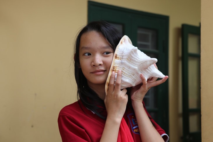 1000 Botschaften der Hanoier Schüler für Truong Sa zur Eröffnungsfeier des neuen Schuljahres - ảnh 6