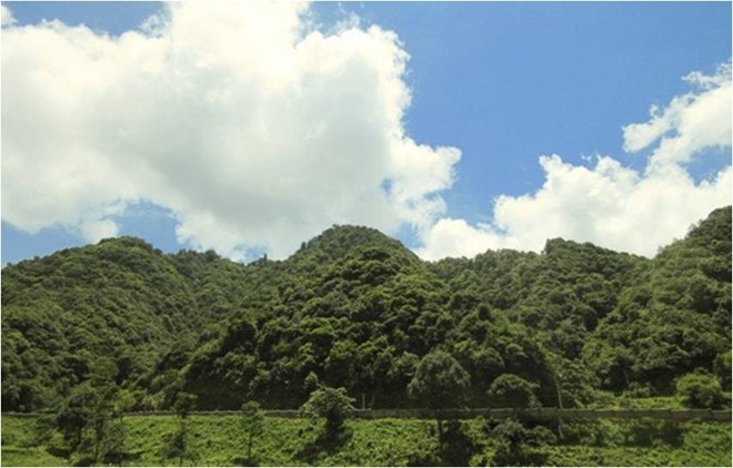 Die prächtige Schönheit von Global Geopark Cao Bang - ảnh 5