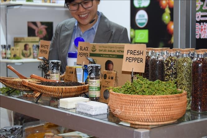 Chance zur Bewerbung von landwirtschaftlichen Tiefkühlprodukten aus Vietnam in Japan - ảnh 1