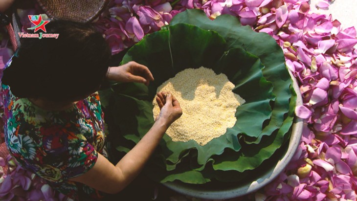 Die Schönheit der Lotusblumen im Sommer in Vietnam genießen - ảnh 8