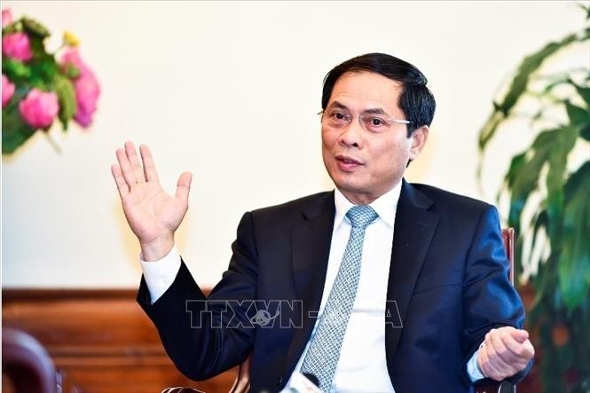 Vize-Außenminister Bui Thanh Son: Vietnam leistet einen praktischen Beitrag zur Lösung der globalen Fragen - ảnh 1