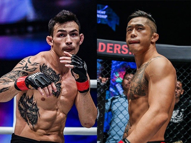 Boxer Thanh Le wird mit Martin Nguyen kämpfen - ảnh 1