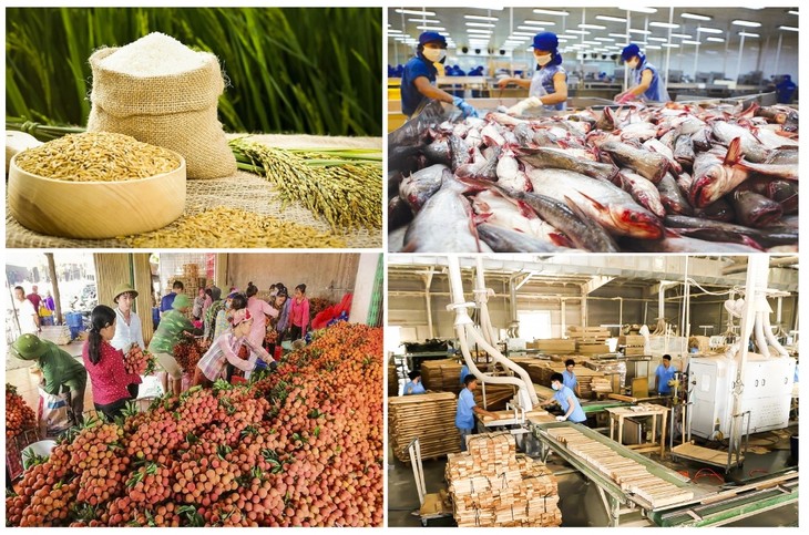 Vietnamesische Landwirtschaft ist trotz Pandemie für ertragreiche Ernte - ảnh 1