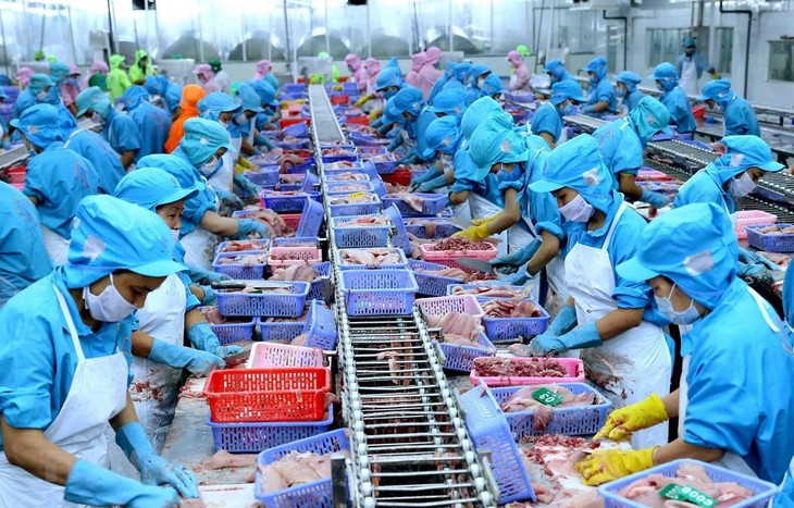 Vietnam bemüht sich, bis 2030 ein führendes Zentrum für die Verarbeitung von Meeresfrüchten der Welt zu werden - ảnh 1