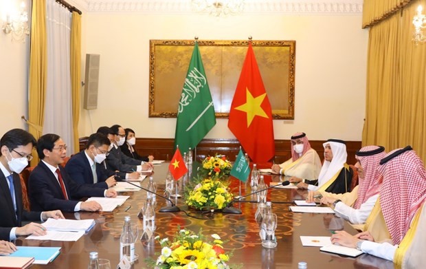 Außenminister Bui Thanh Son führt Gespräche mit seinem saudi-arabischen Amtskollegen, Faisal Bin Farhan Al Saud - ảnh 1
