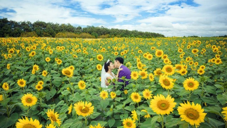 Da Lat ist einer der zehn schönsten Blumenbetrachtungsorte der Welt - ảnh 3