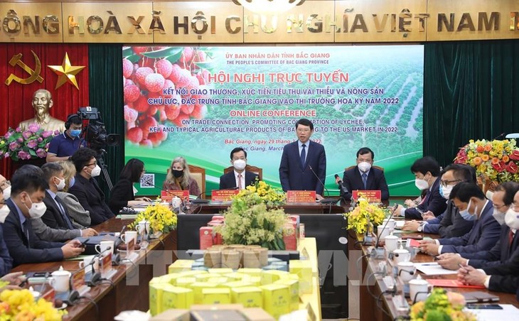 Die Provinz Bac Giang fördert den Konsum von Litschi auf dem US-Markt - ảnh 1