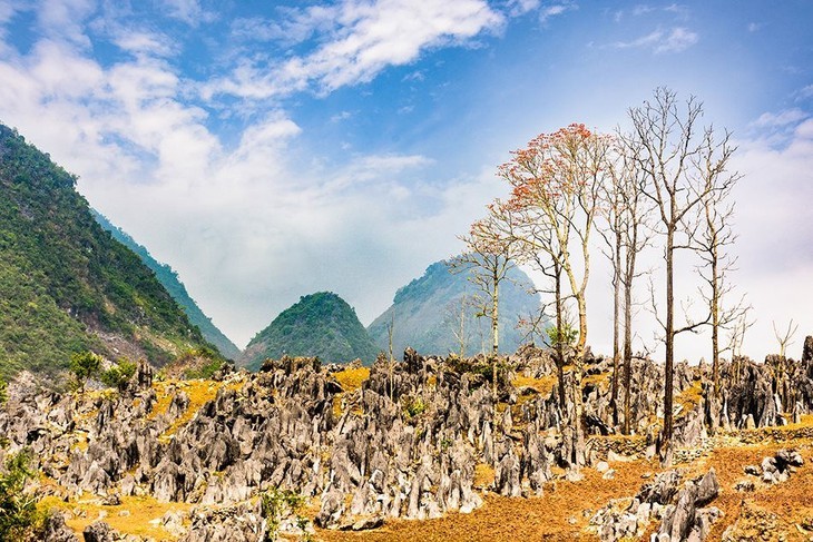 Die Schönheit des Kreises Tua Chua in der Provinz Dien Bien - ảnh 2