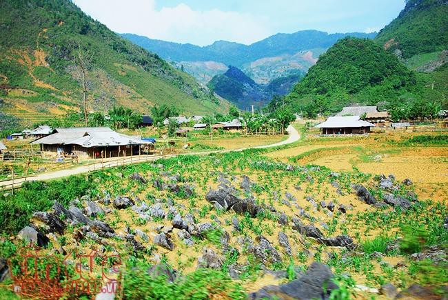 Die Schönheit des Kreises Tua Chua in der Provinz Dien Bien - ảnh 3