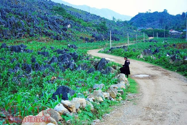 Die Schönheit des Kreises Tua Chua in der Provinz Dien Bien - ảnh 5