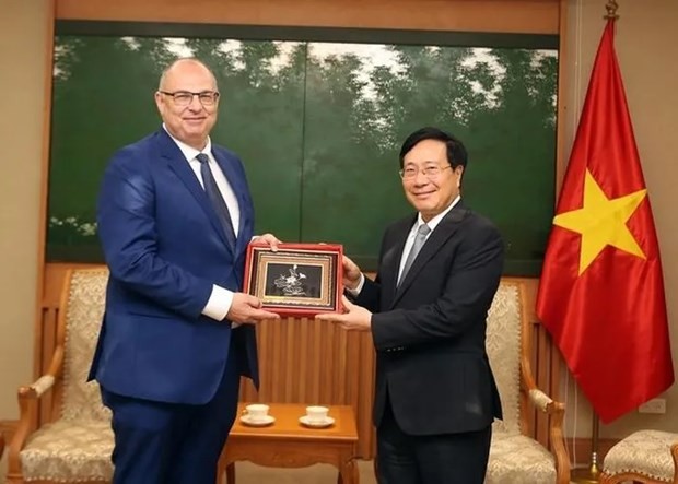 Vize-Premierminister Pham Binh Minh empfängt den dänischen Botschafter - ảnh 1