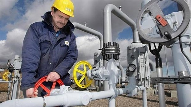 EU-Kommission ist besorgt über den möglichen Stopp russischer Gasimporte - ảnh 1