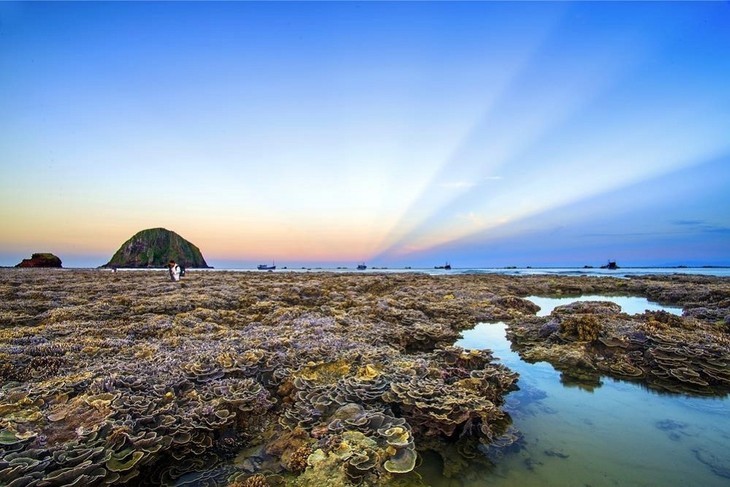 Die Schönheit der Insel Hon Yen in Phu Yen - ảnh 6