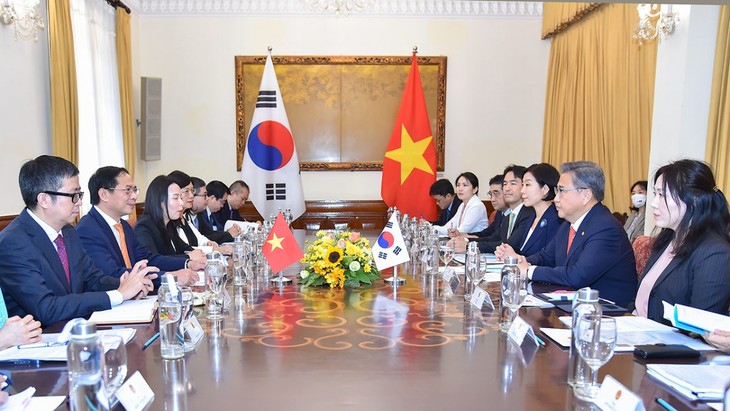 Die Beziehungen und Zusammenarbeit zwischen Vietnam und Südkorea weiterentwickeln - ảnh 1