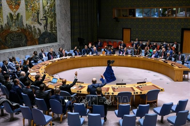 Resolution für humanitäre Hilfe unter UN-Sanktionen - ảnh 1