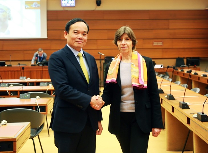 Vize-Premierminister Tran Luu Quang trifft sich mit Leitern der Länder und internationalen Organisationen - ảnh 1
