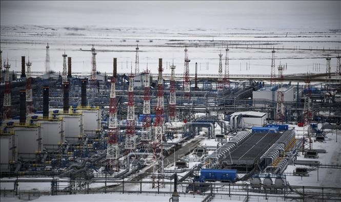 Die EU-Länder wollen den Import von russischem LNG stoppen - ảnh 1