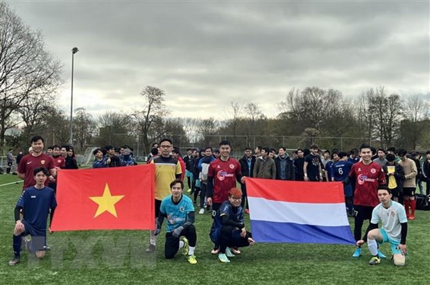 Sportturnier zum 50. Jahrestag der Aufnahme diplomatischer Beziehungen zwischen Vietnam und den Niederlanden - ảnh 1