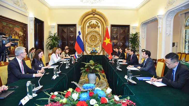 Die Freundschaft und Zusammenarbeit zwischen Vietnam und Slowenien verstärken - ảnh 1