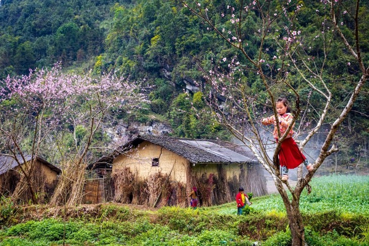 Die Schönheit des Kalkplateaus Dong Van in der Provinz Ha Giang - ảnh 9