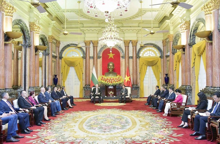 Förderung der traditionellen Beziehungen zwischen Vietnam und Bulgarien - ảnh 1