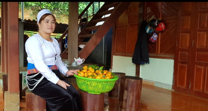Pampelmuse, Mandarine und Orange sind Ausweg aus der Armut für Bewohner in Hoa Binh - ảnh 1