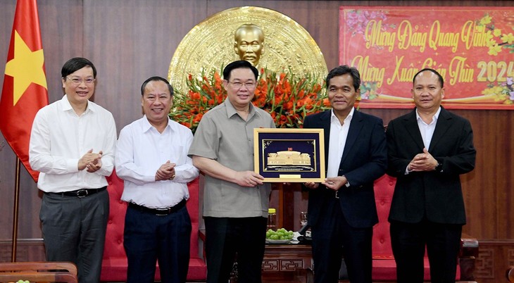 Parlamentspräsident Vuong Dinh Hue tagt mit Verwaltern der Provinz Gia Lai - ảnh 1