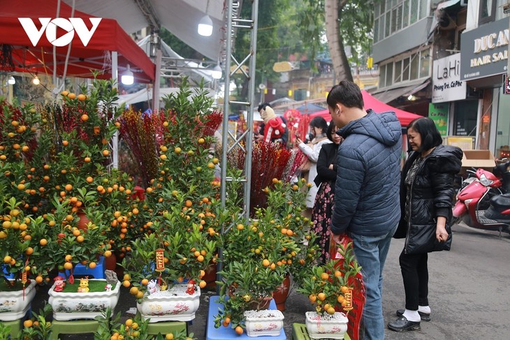 Tet-Blumenmarkt Hang Luoc – Schönheit des Blumenmarktes zum Jahresende in Hanoi - ảnh 1