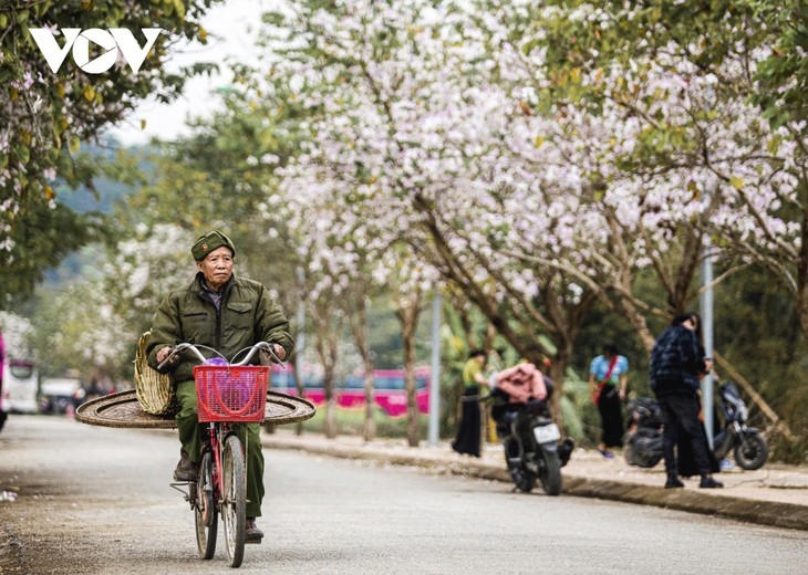 Neues Aussehen der Stadt Dien Bien Phu nach 70 Jahren Befreiung - ảnh 6
