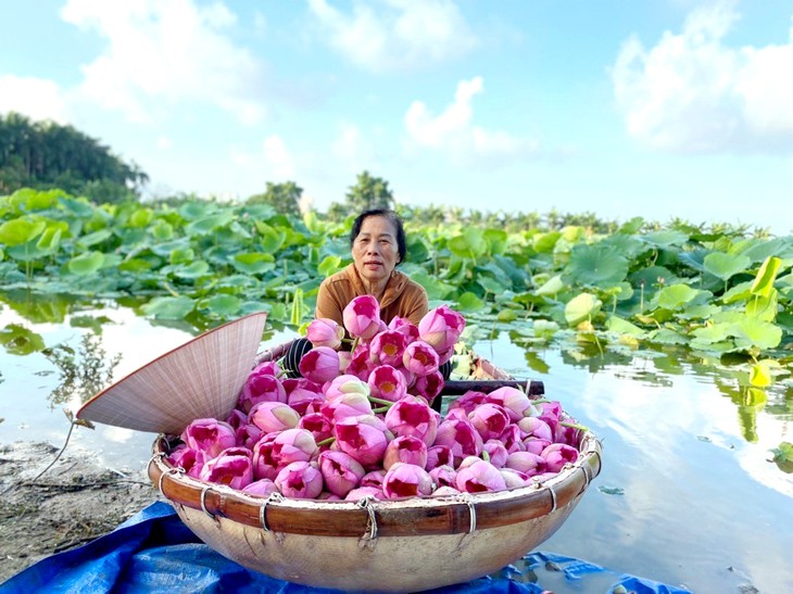 Hanoi organisiert zum ersten Mal das „Lotusfestival 2024“ - ảnh 1