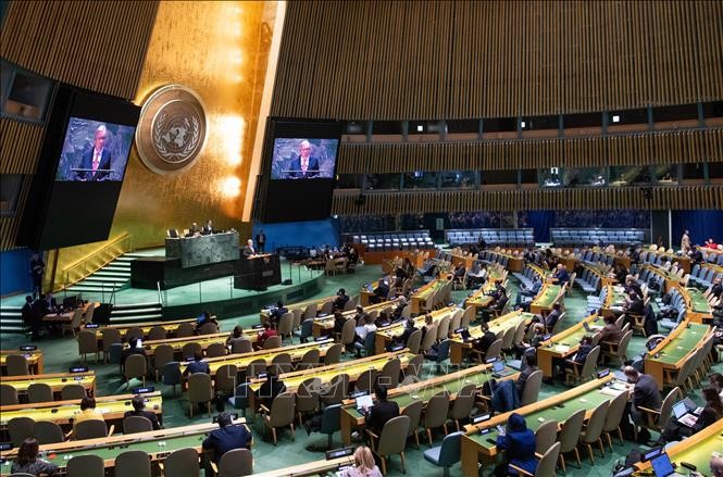 Generalversammlung stimmt für Palästina als 194. UN-Mitglied - ảnh 1