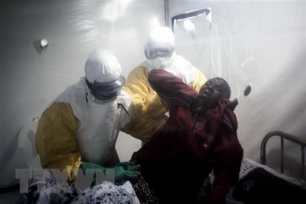 세계보건기구, 에볼라 ‘국제적 보건 비상사태’ 선포 - ảnh 1